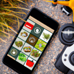 tecnologia-no-campo-ferramentas-digitais-para-uma-agricultura-sustentavel